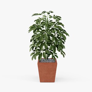 3D plant design modeled