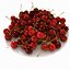 Cherry Fruit Single Plate