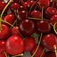 Cherry Fruit Single Plate