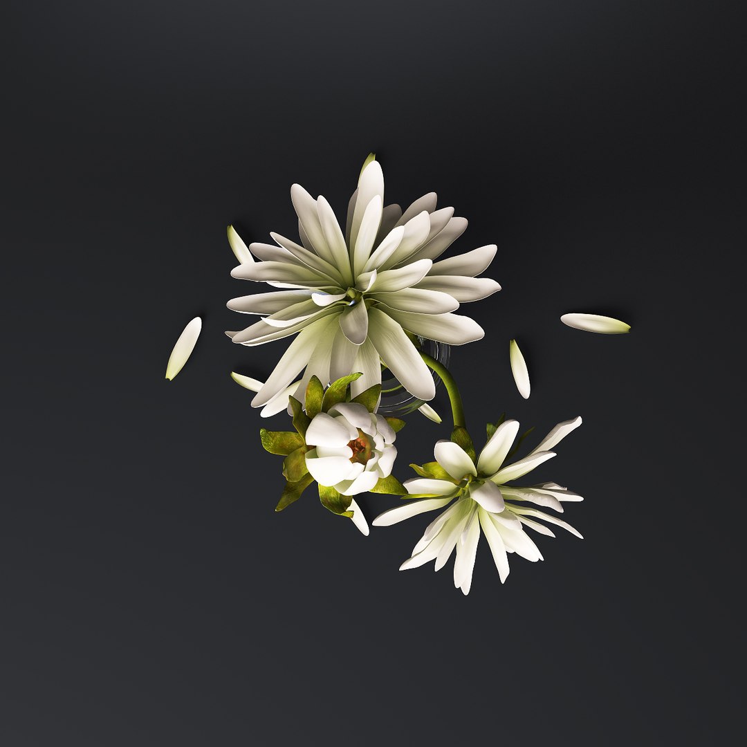 3D flower glass vase model https://p.turbosquid.com/ts-thumb/x4/aw1ld8/4zpx27zR/4/jpg/1524368050/1920x1080/fit_q87/39460ed36714c2434973f1184b4695475d7a4f55/4.jpg
