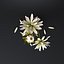 White flower in glass jar