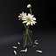 White flower in glass jar