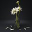 White flower in glass jar