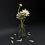 White flower in glass jar