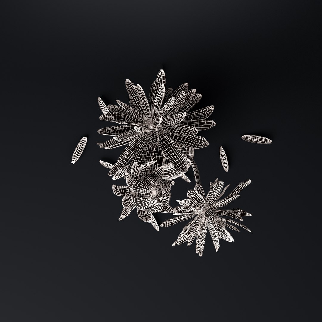3D flower glass vase model https://p.turbosquid.com/ts-thumb/x4/aw1ld8/zKLWzy10/6/jpg/1524368078/1920x1080/fit_q87/ed893532a430ebf972f67aee1b684c0a940c9676/6.jpg