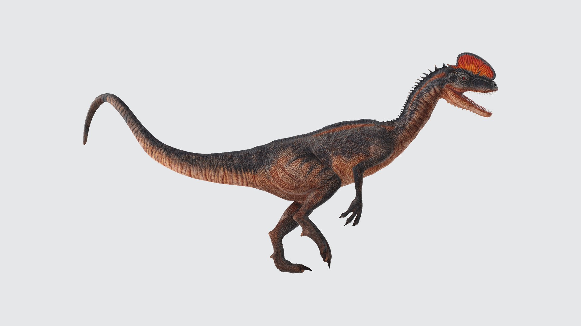 3D Dilophosaurus Model - TurboSquid 2346290