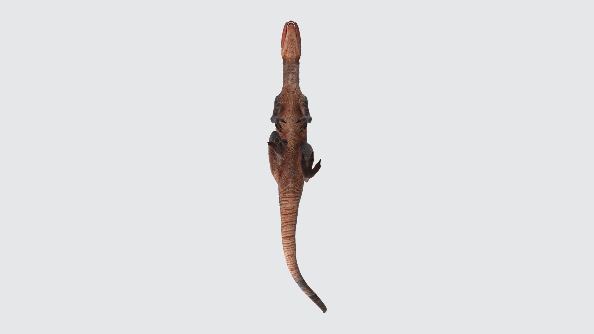 3D Dilophosaurus Model - TurboSquid 2346290
