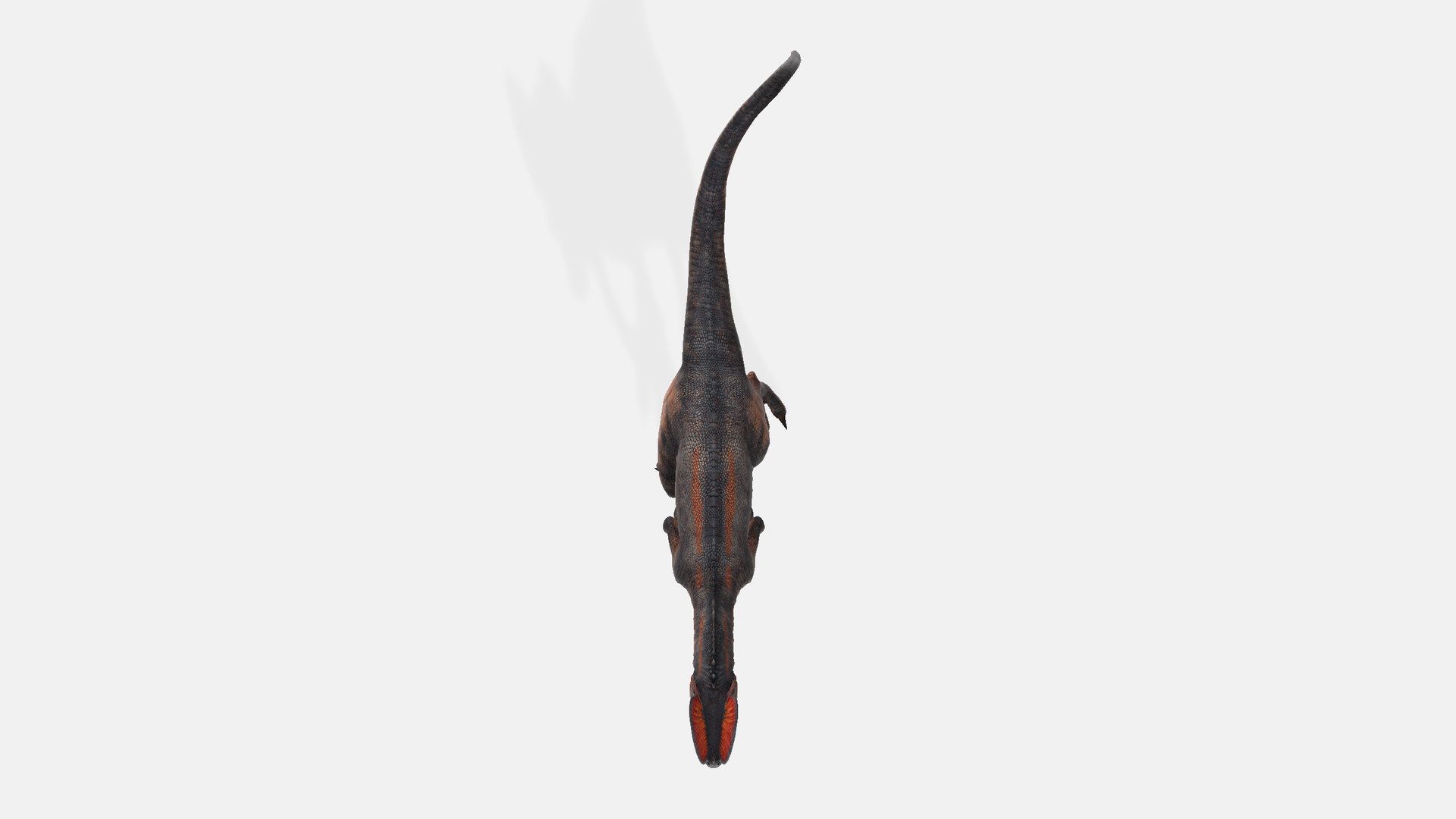 3D Dilophosaurus Model - TurboSquid 2346290