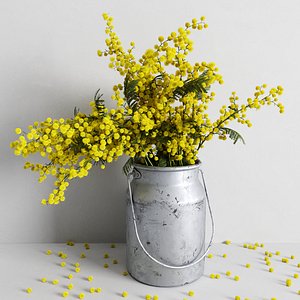 mimosa bouquet 3D model