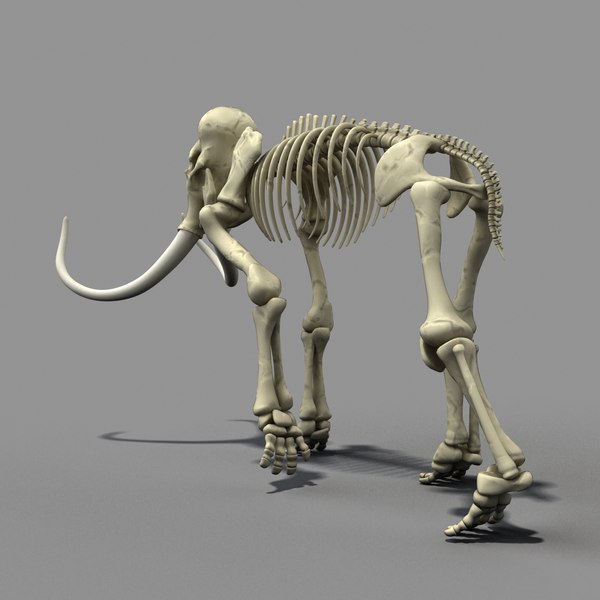 mammoth skeleton bone max