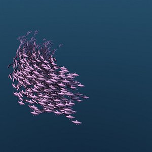 Animated School Of Sardine Fishes Swimming Type 4 model