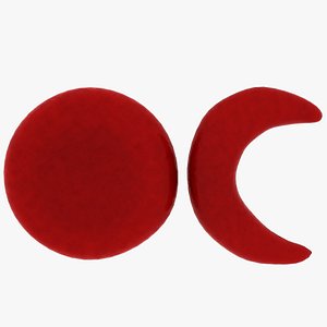 3D Red blood cell and sickle blood cell model