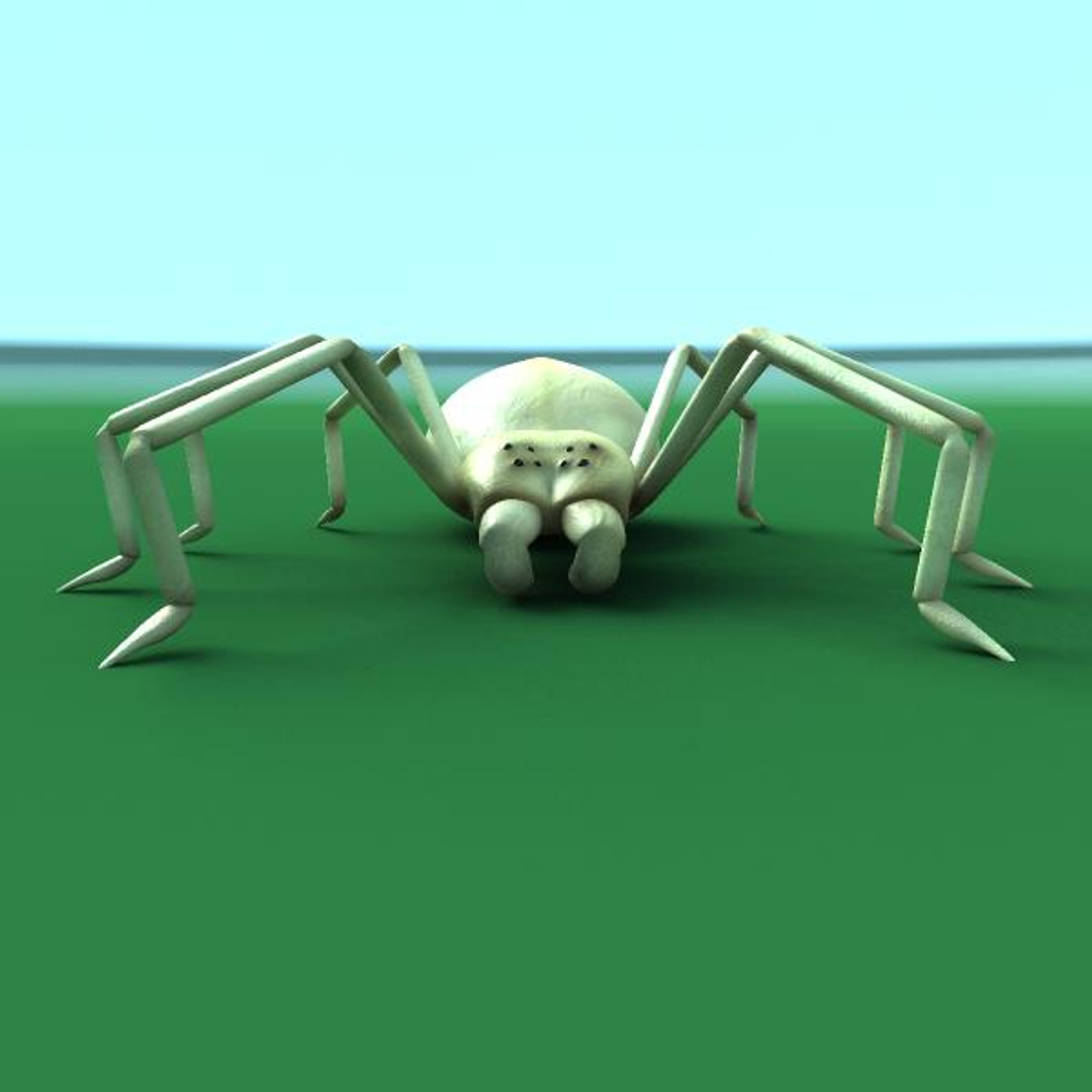 3d rig spider model