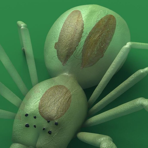 3d rig spider model