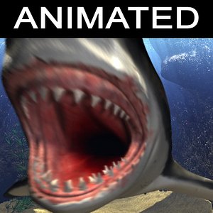 cinema4d white shark