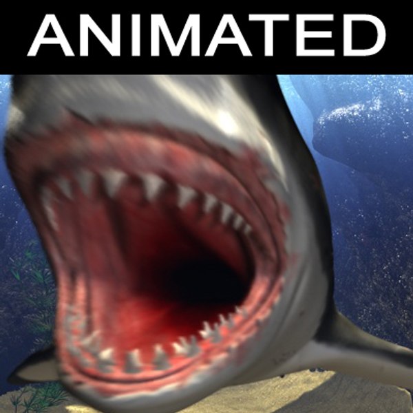cinema4d white shark