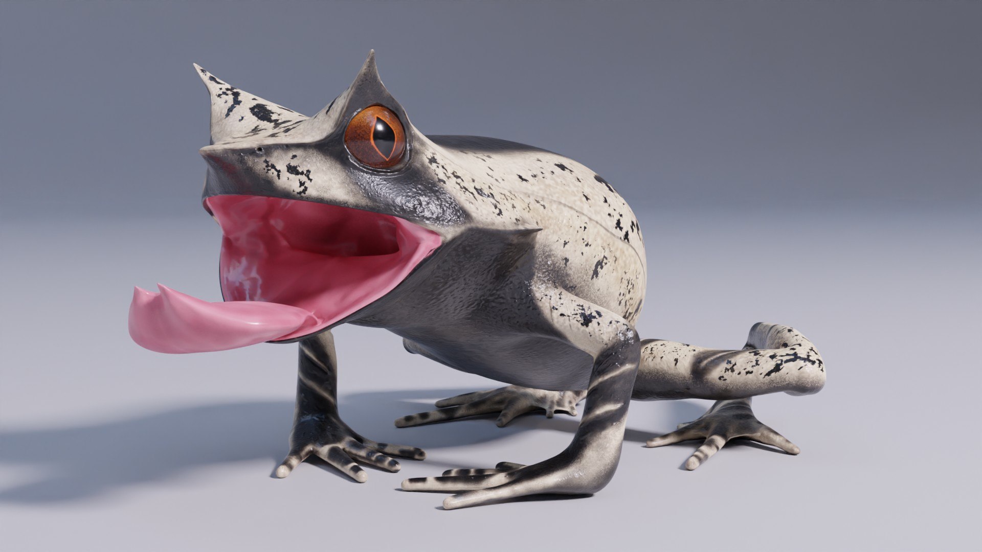 Malayan Horned Frog - Animated 3D model https://p.turbosquid.com/ts-thumb/x5/IcKNhM/Ib/malayanhornedfrog_prev_06/jpg/1627623391/1920x1080/fit_q87/7836045592e3637a2f6a3a7afd0f6c65df658dc7/malayanhornedfrog_prev_06.jpg