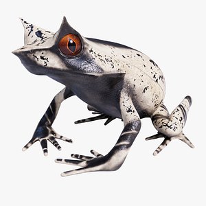 Malayan Horned Frog - Animated 3D model