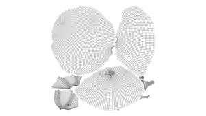 Apple low poly pbr