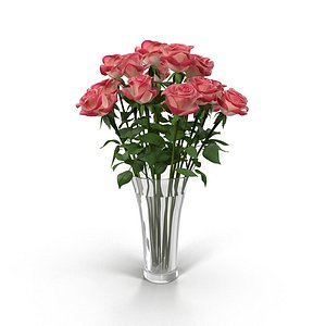 Rose(1)
