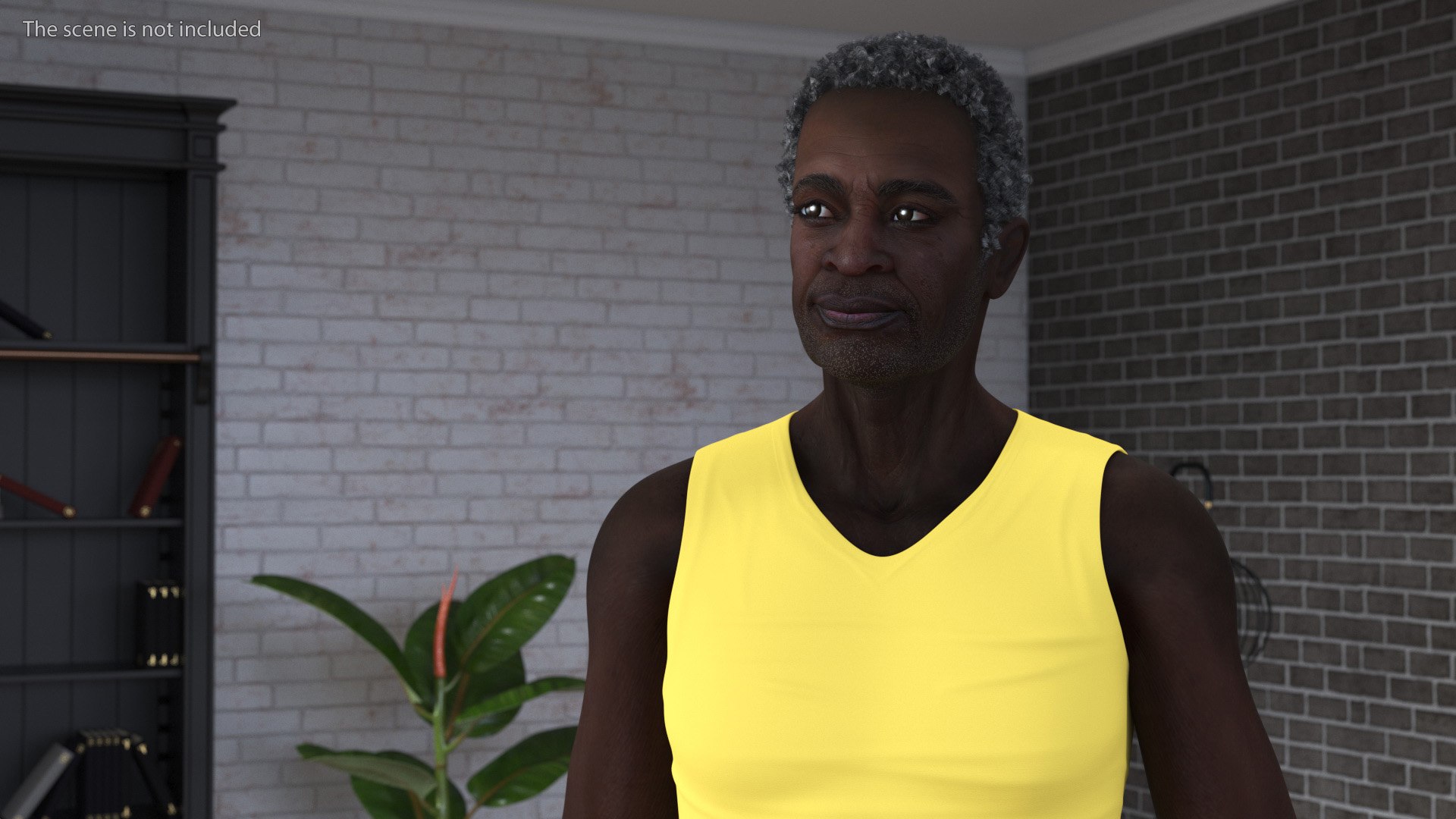 3D Afro American Grandpa Wearing Pajamas Rigged for Cinema 4D https://p.turbosquid.com/ts-thumb/x5/eJYids/fJ/afroamericangrandpawearingpajamasriggedforcinema4dc4dmodel010/jpg/1674854473/1920x1080/fit_q87/530e857c1e4df514edee822160e791f9a7bb0dba/afroamericangrandpawearingpajamasriggedforcinema4dc4dmodel010.jpg