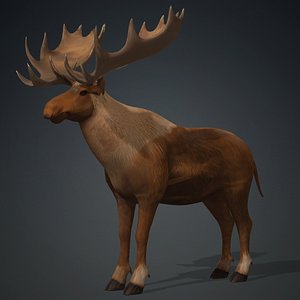 3D Moose-B2 model