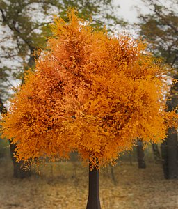 High Poly Realistic Tree