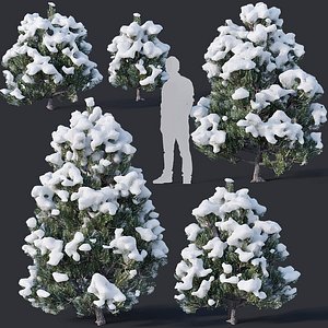 pines snow 3D model
