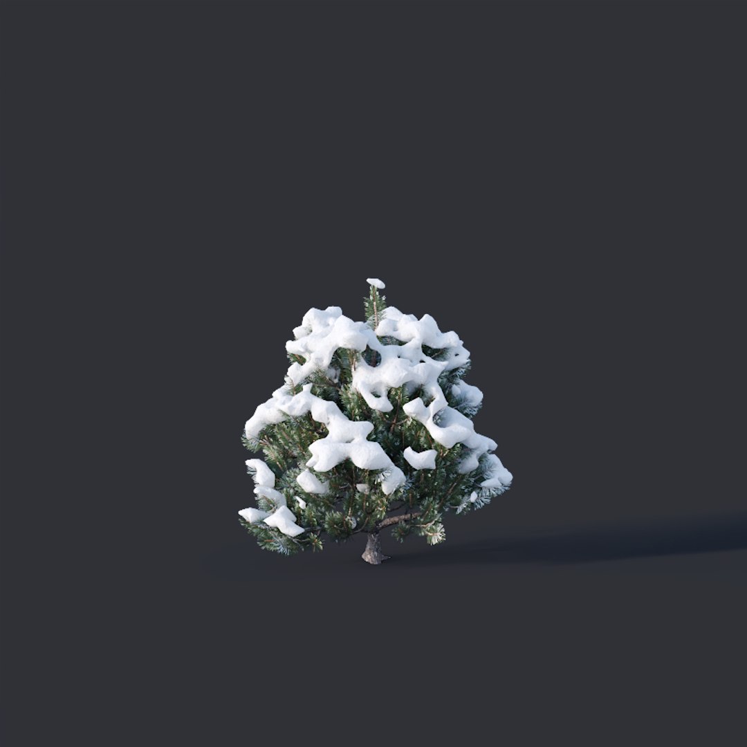 pines snow 3D model https://p.turbosquid.com/ts-thumb/x6/1r60Hr/lVCinuGX/pine6b/jpg/1560783951/1920x1080/fit_q87/641298933c98dce8515a4460e4fbd9ceaae86849/pine6b.jpg