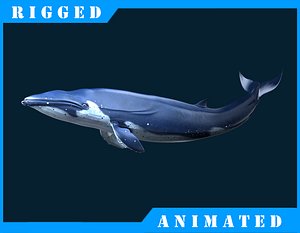 Blue_Whale_Rigged
