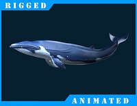 Blue_Whale_Rigged
