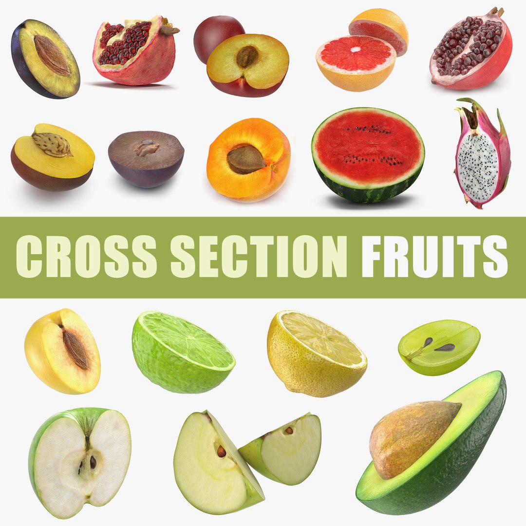 Cross Section Fruits 3D Models Collection 4 3D model preview