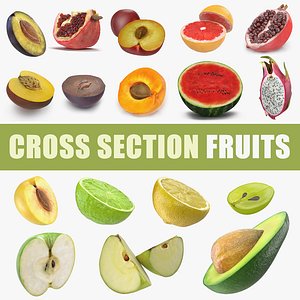 cross section fruits 4 3D model