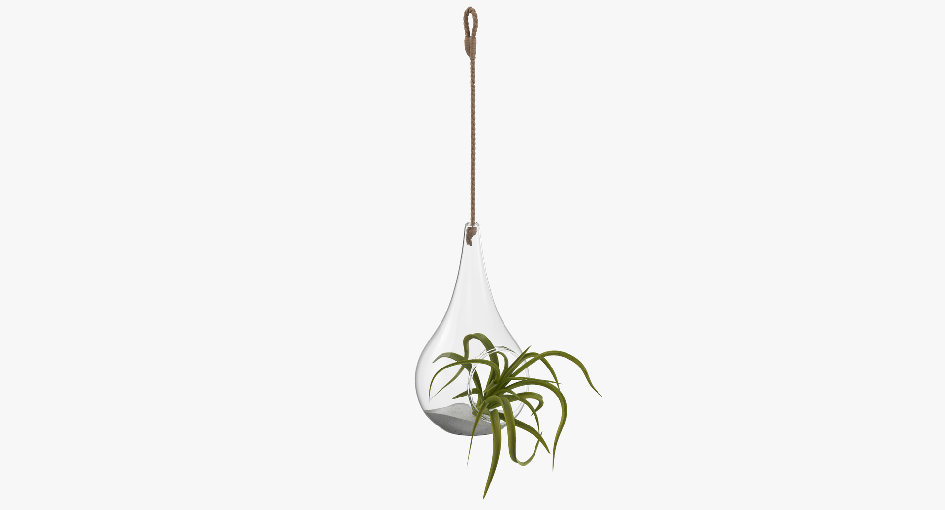 3D botanical - 205 products model https://p.turbosquid.com/ts-thumb/x6/MjCF6E/2VmHf155/0000/jpg/1564574561/1920x1080/turn_fit_q99/26762767e52c3ba8dec8bc025d09f85da5e7f7d3/0000-1.jpg