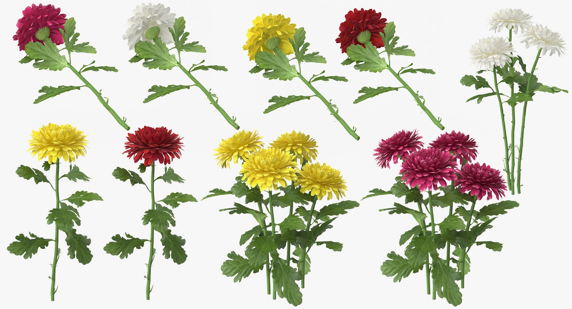 3D botanical - 205 products model https://p.turbosquid.com/ts-thumb/x6/MjCF6E/3JINyPkm/botanical_collection_group_thumbnail_08_14/jpg/1564568129/1920x1080/fit_q87/60535caa31fd0ae3718bd74d3106610b25d54529/botanical_collection_group_thumbnail_08_14.jpg