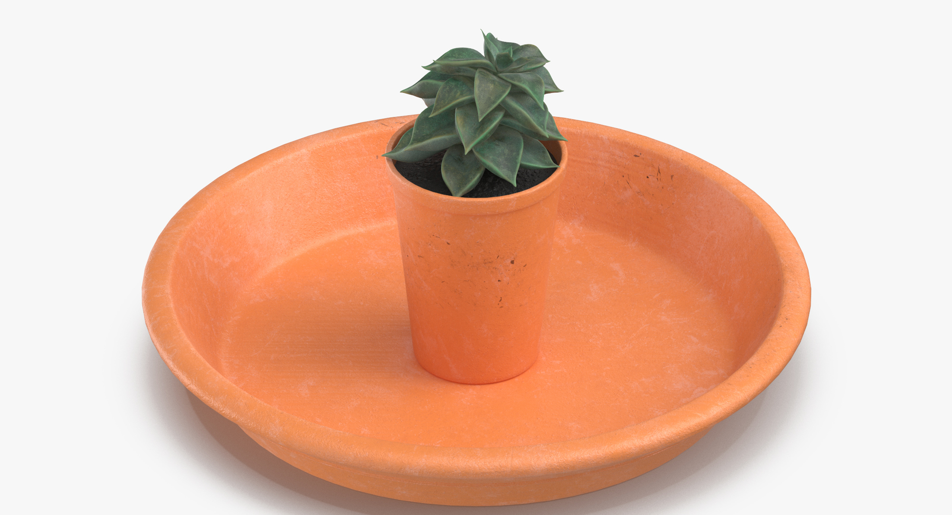 3D botanical - 205 products model https://p.turbosquid.com/ts-thumb/x6/MjCF6E/3szO446n/0000/jpg/1564577932/1920x1080/turn_fit_q99/323e26c5ae421a97437c0ba1d68901f4631c9277/0000-1.jpg