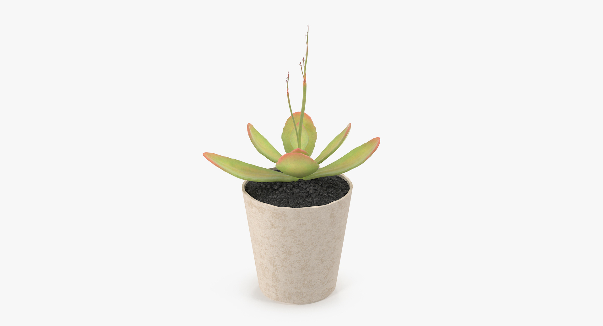 3D botanical - 205 products model https://p.turbosquid.com/ts-thumb/x6/MjCF6E/8ITFngiP/00/jpg/1564577706/1920x1080/turn_fit_q99/98b1d8ef5afccc43fa9e88628bbbb2a1047fe493/00-1.jpg