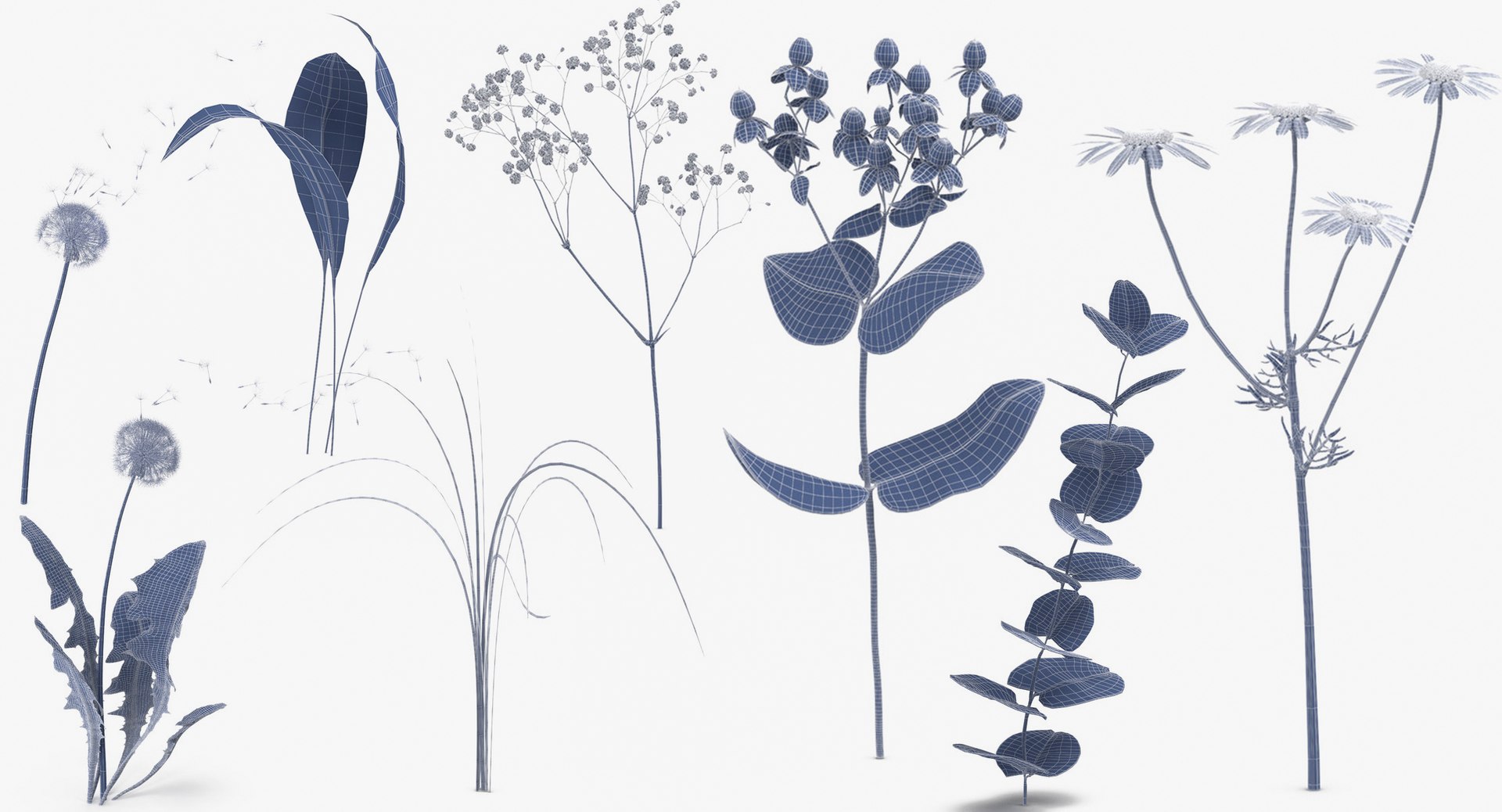 3D botanical - 205 products model https://p.turbosquid.com/ts-thumb/x6/MjCF6E/8tPrVtoZ/botanical_collection_wireframes_group_thumbnail_08_16/jpg/1564568444/1920x1080/fit_q87/7f216d4374058e5b21341f0375472d6348b85a1b/botanical_collection_wireframes_group_thumbnail_08_16.jpg