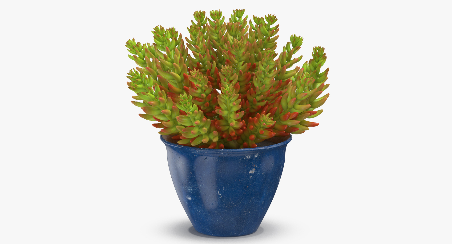 3D botanical - 205 products model https://p.turbosquid.com/ts-thumb/x6/MjCF6E/AtcvbL5T/0000/jpg/1564578146/1920x1080/turn_fit_q99/fea07a056bd4eab5ff605492ebc25b9e82e6d83f/0000-1.jpg