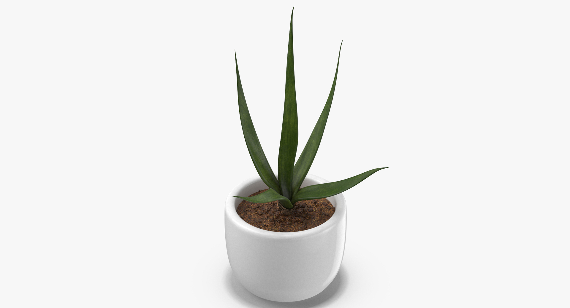 3D botanical - 205 products model https://p.turbosquid.com/ts-thumb/x6/MjCF6E/F0YxcvDy/0000/jpg/1564575471/1920x1080/turn_fit_q99/1c5c7505942c34fcd735fa967c4ecaaf0ef1d563/0000-1.jpg