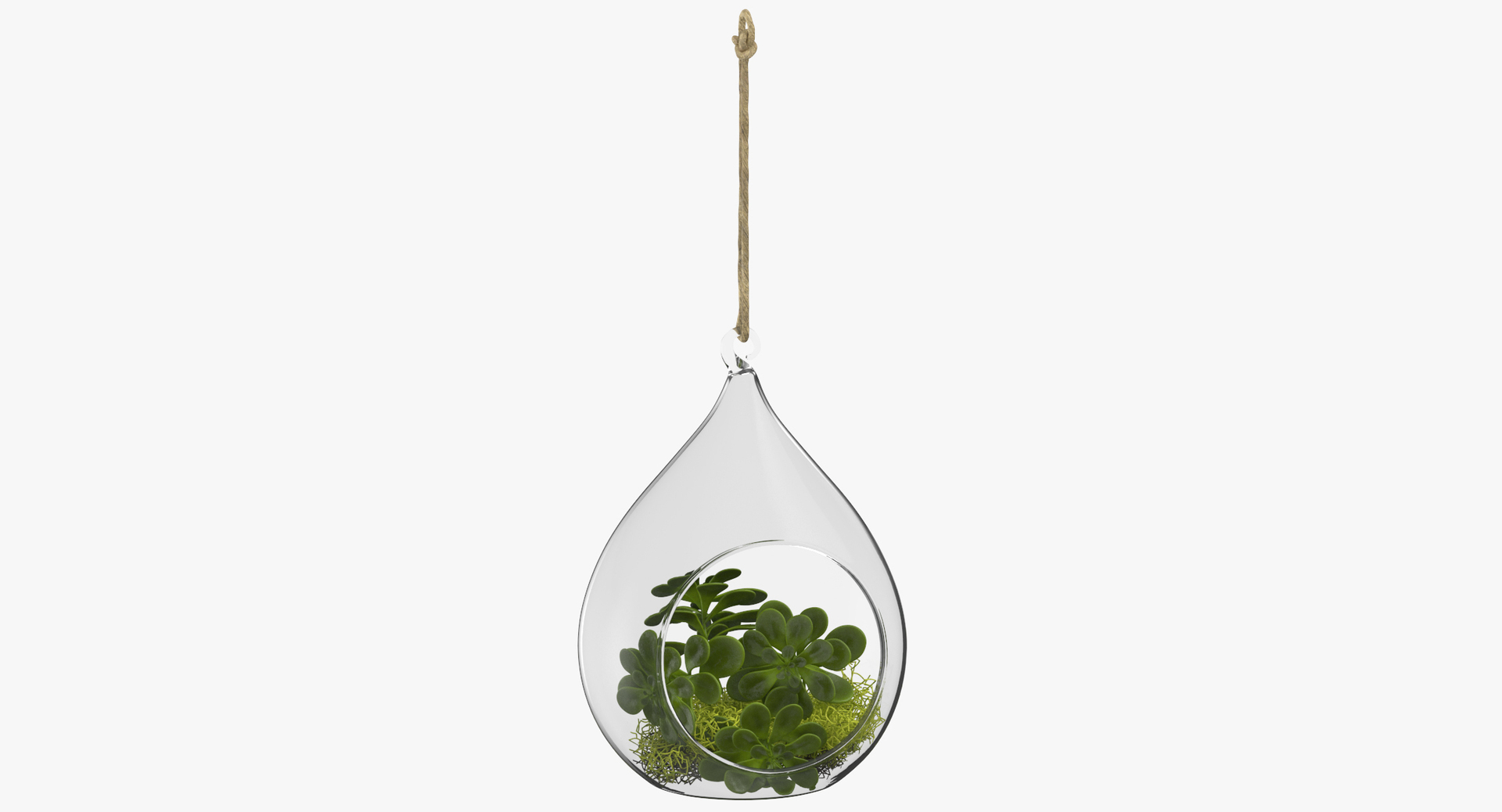 3D botanical - 205 products model https://p.turbosquid.com/ts-thumb/x6/MjCF6E/FqbjQswU/0000/jpg/1564574585/1920x1080/turn_fit_q99/fb1330d337ec665301c4a7e0c8892beae899539c/0000-1.jpg