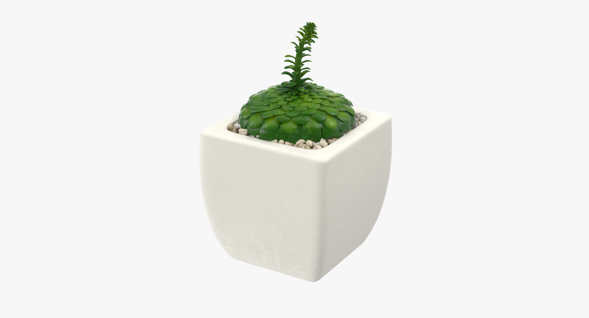 3D botanical - 205 products model https://p.turbosquid.com/ts-thumb/x6/MjCF6E/HI9DZVZk/00/jpg/1564576600/1920x1080/turn_fit_q99/e4c6bdc41266f63901d34a60b920866a2c0cf07c/00-1.jpg