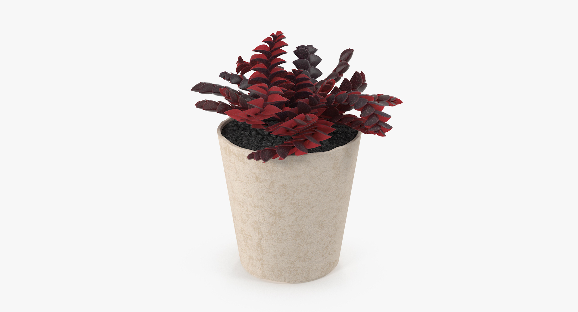 3D botanical - 205 products model https://p.turbosquid.com/ts-thumb/x6/MjCF6E/NDJoaD9c/00/jpg/1564577176/1920x1080/turn_fit_q99/07fef43b7c1c296b6bf245e1741488e0579a5eca/00-1.jpg