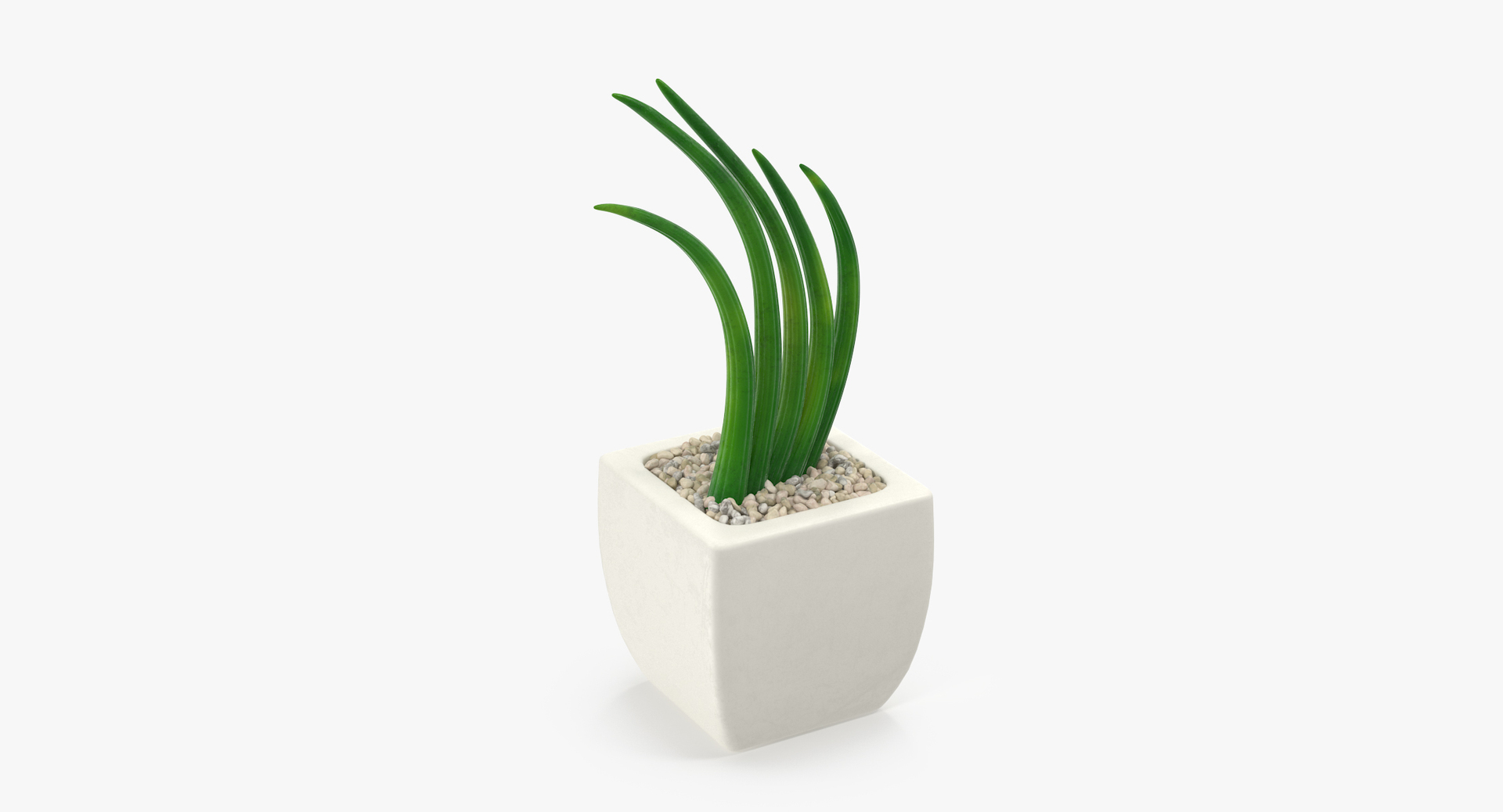 3D botanical - 205 products model https://p.turbosquid.com/ts-thumb/x6/MjCF6E/NEkx8uT6/00/jpg/1564576670/1920x1080/turn_fit_q99/77c99ef242c5ea2657d1662bf38af5ea89e7da3c/00-1.jpg
