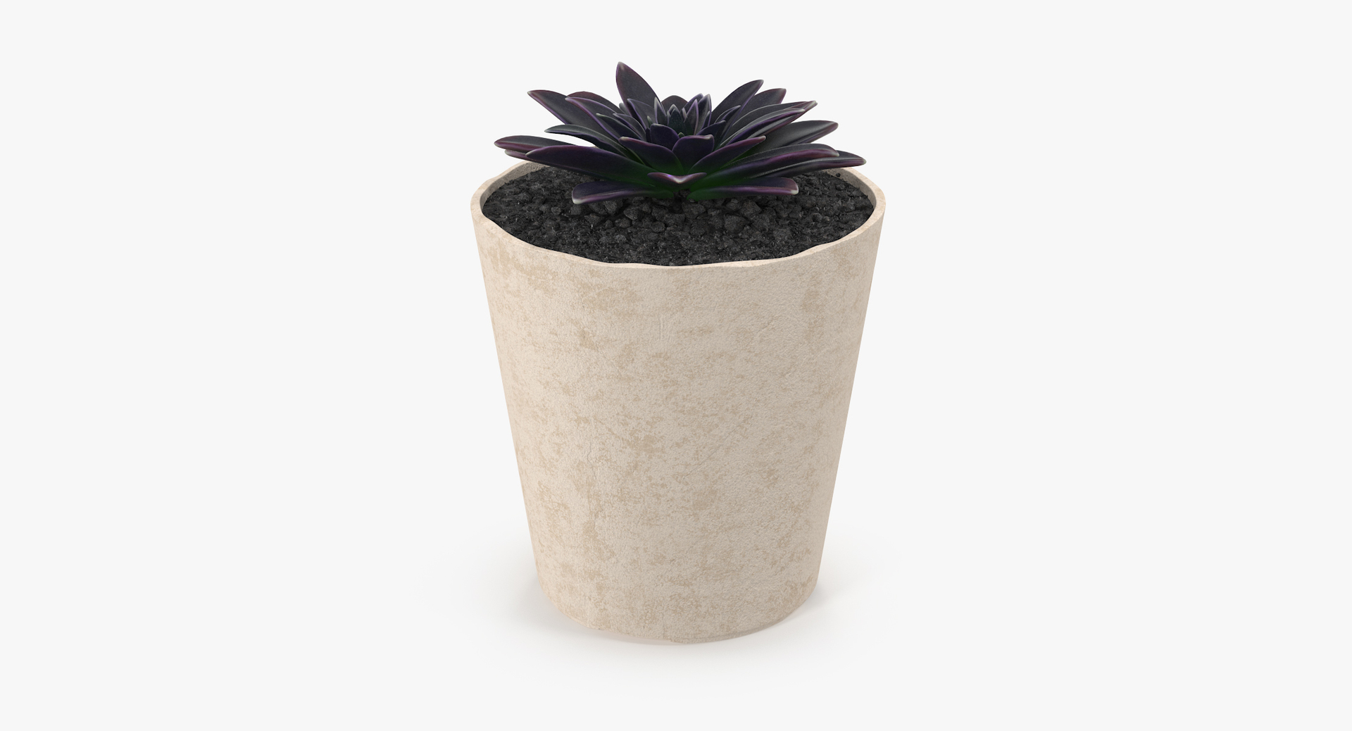 3D botanical - 205 products model https://p.turbosquid.com/ts-thumb/x6/MjCF6E/QUxx9qdT/00/jpg/1564577368/1920x1080/turn_fit_q99/9465b06a8ee0d90df319d31dd3dcb704ccf6601f/00-1.jpg