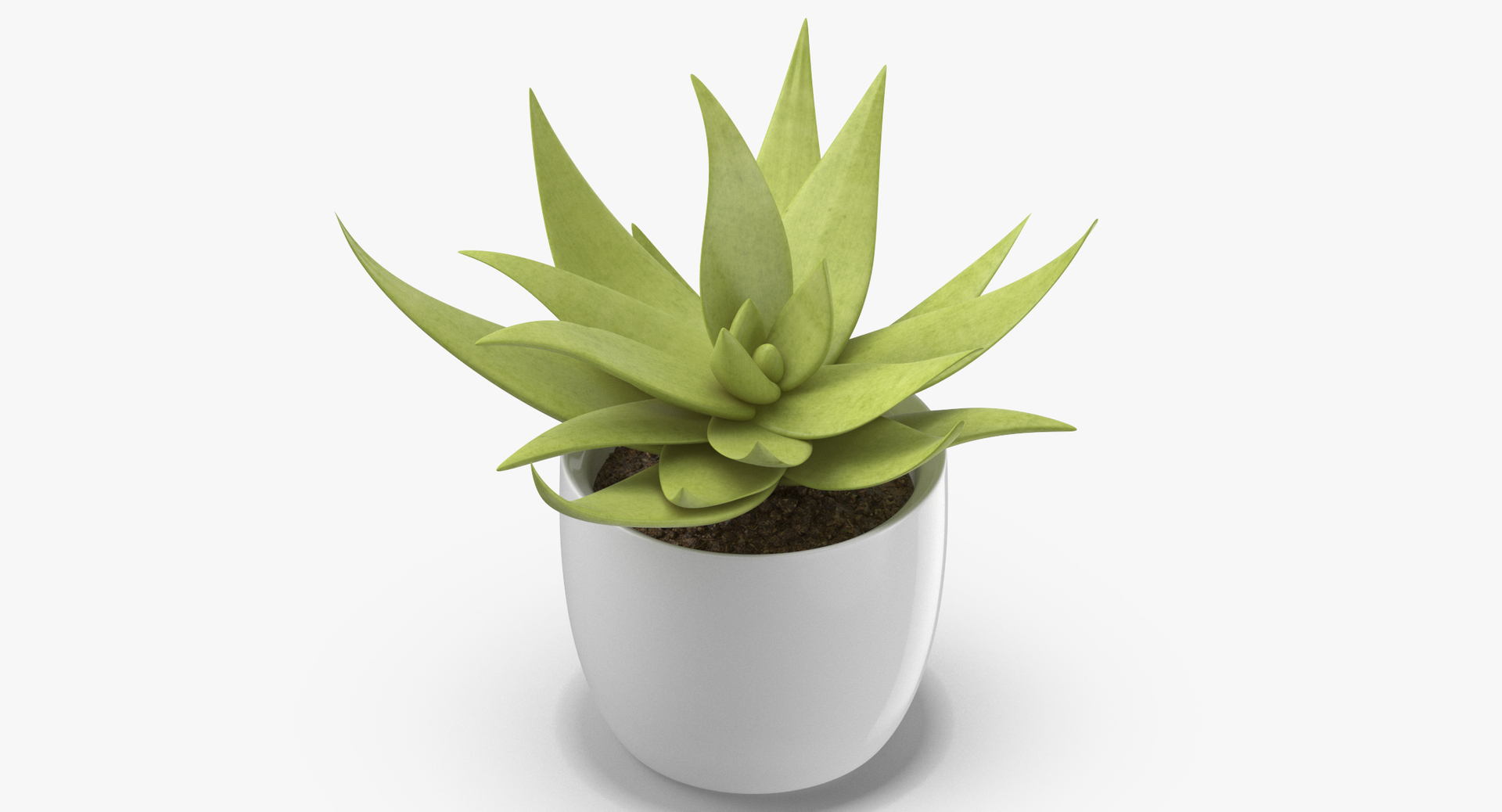 3D botanical - 205 products model https://p.turbosquid.com/ts-thumb/x6/MjCF6E/TheWrfGF/0000/jpg/1564575433/1920x1080/turn_fit_q99/44d50a63770d83d6ccb91f80fe10e996a0f9afc5/0000-1.jpg