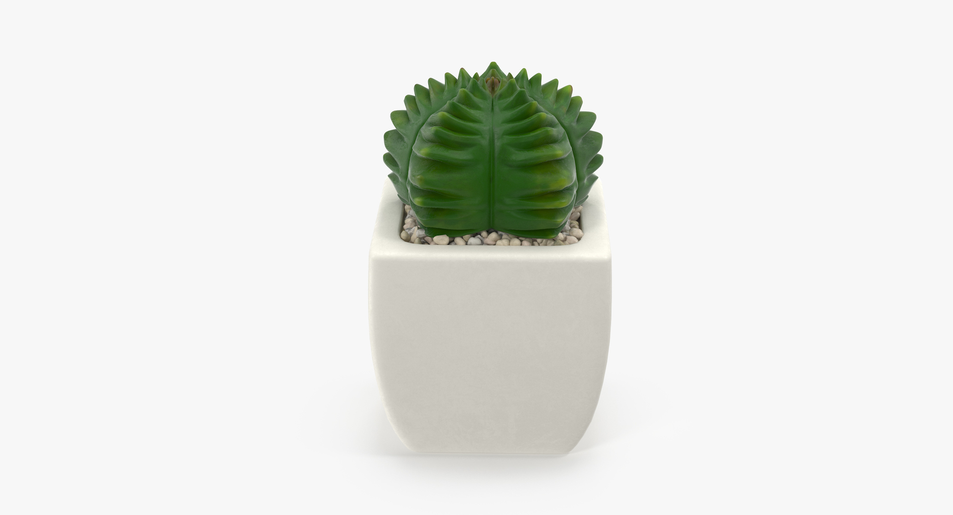 3D botanical - 205 products model https://p.turbosquid.com/ts-thumb/x6/MjCF6E/U5ssqh7z/00/jpg/1564576168/1920x1080/turn_fit_q99/fe569b46cb6d26a31736fc7eab2b42b84ded480b/00-1.jpg