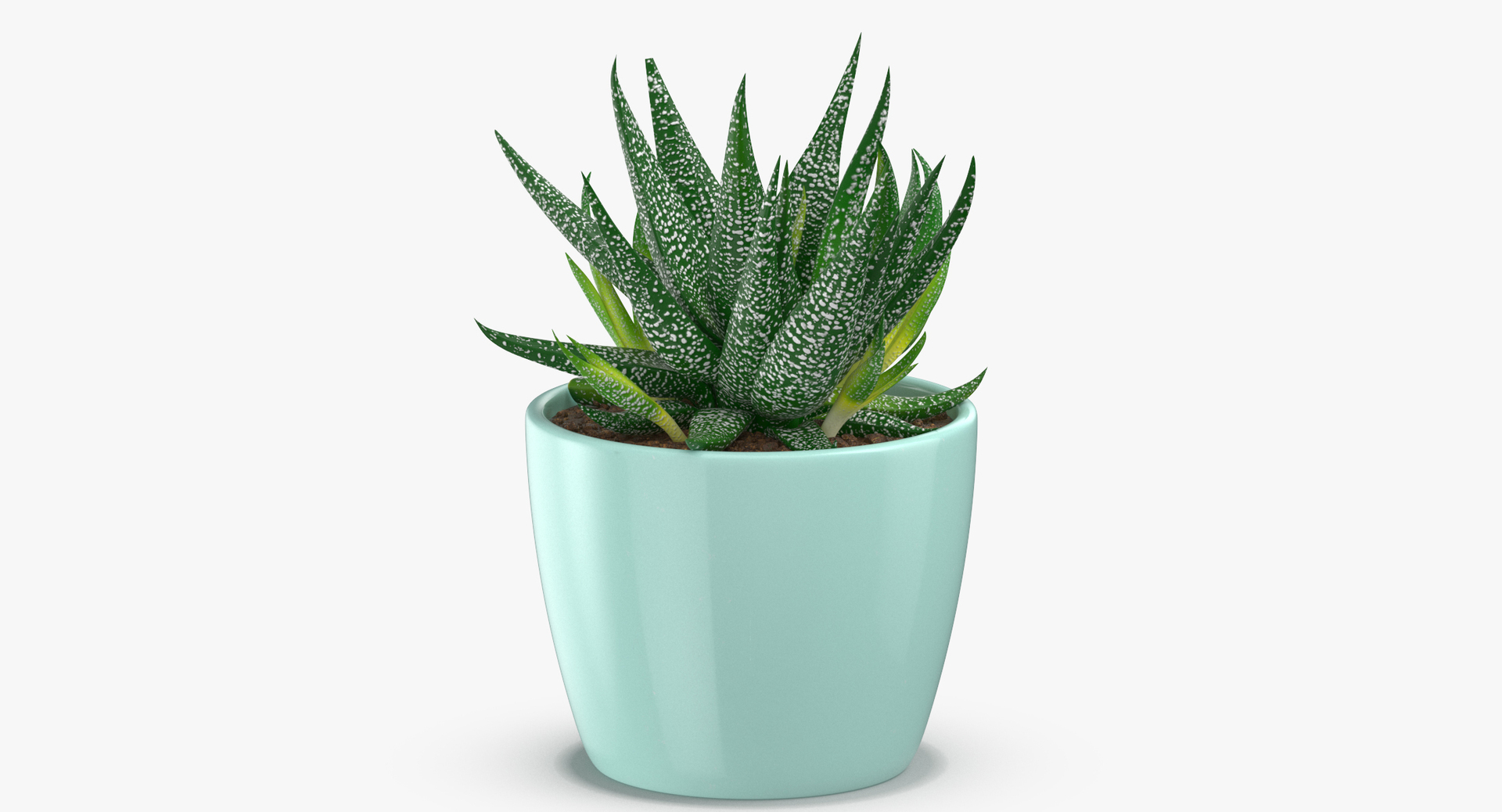 3D botanical - 205 products model https://p.turbosquid.com/ts-thumb/x6/MjCF6E/WeY2qyxY/0000/jpg/1564575766/1920x1080/turn_fit_q99/74e489adf41a884d713352cd4e476219703f0661/0000-1.jpg