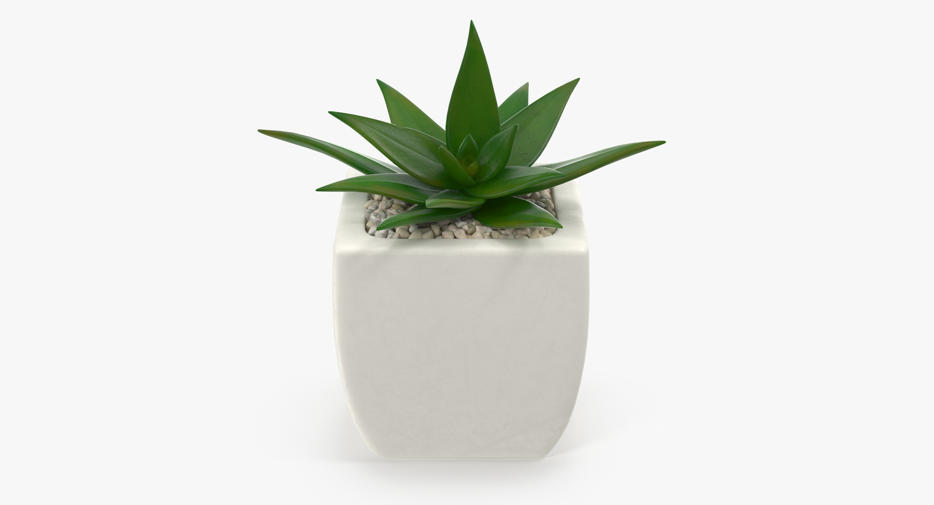 3D botanical - 205 products model https://p.turbosquid.com/ts-thumb/x6/MjCF6E/WfY90rNE/00/jpg/1564576248/1920x1080/turn_fit_q99/ab41bfa6ebee275ad5fdef153be524a4582ad03c/00-1.jpg