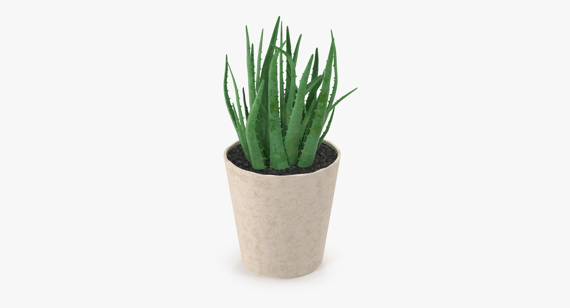 3D botanical - 205 products model https://p.turbosquid.com/ts-thumb/x6/MjCF6E/YHU48K8a/00/jpg/1564577843/1920x1080/turn_fit_q99/e21983e77d72b1dc99be63fd4e8cdd0ea7ff4278/00-1.jpg